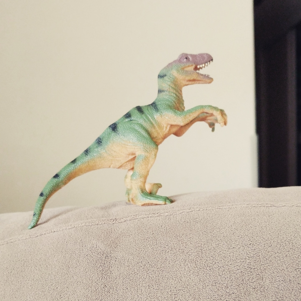 Meet your Posher, Candice